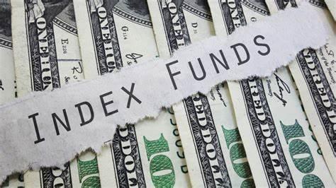 Read more about the article Differences with Index Fund Investments